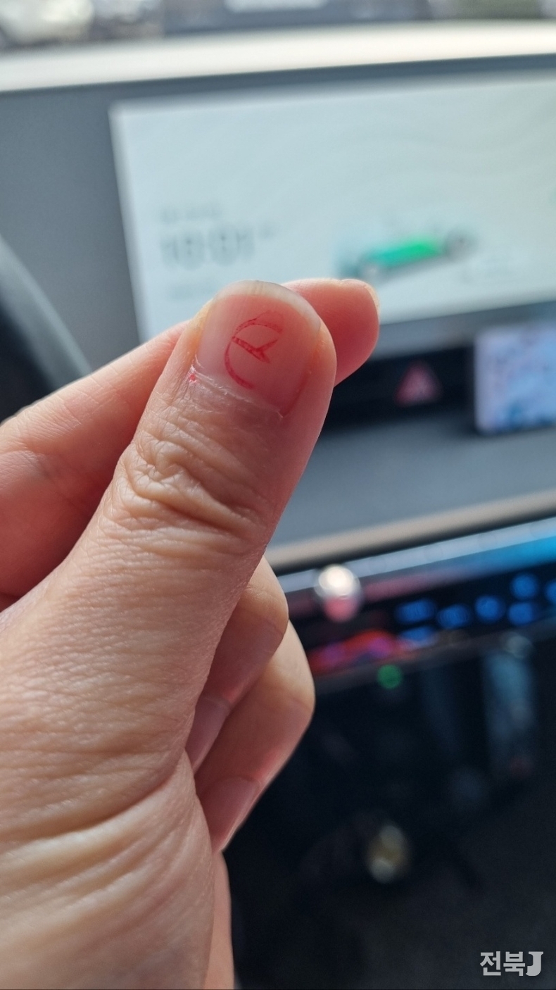 지난 5월29일 대통령 선거 사전투표 인증샷.(출처=독자제공)