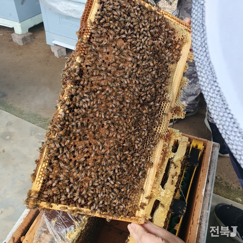 출처=농진청
