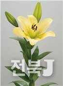 출처=농진청