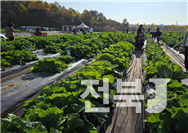 사진 지난해 평가회 모습(출처=농진청)