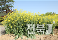 출처=농진청