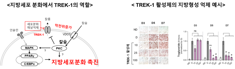 출처=한국식품연구원