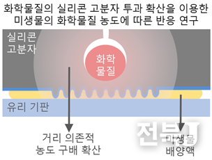 출처=식품연