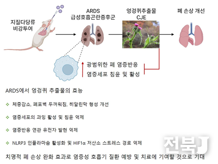 출처=식품연