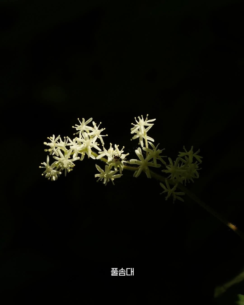 출처=태백산국립공원
