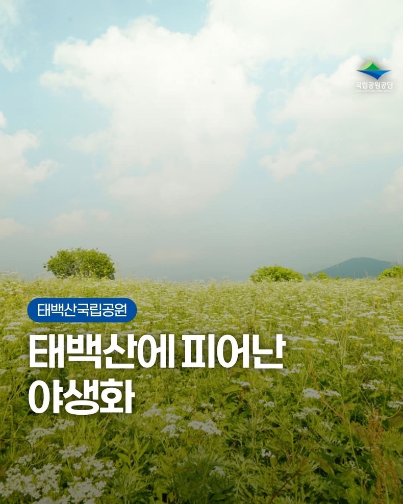 출처=태백산국립공원
