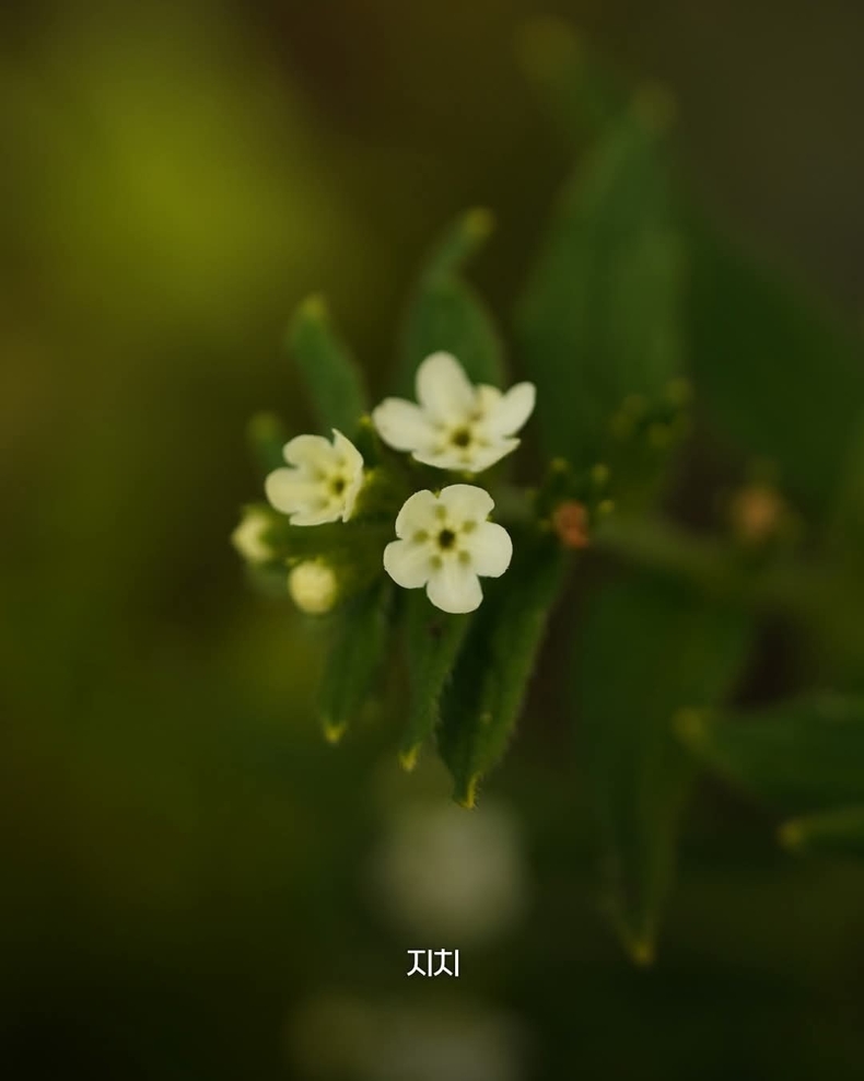 출처=태백산국립공원