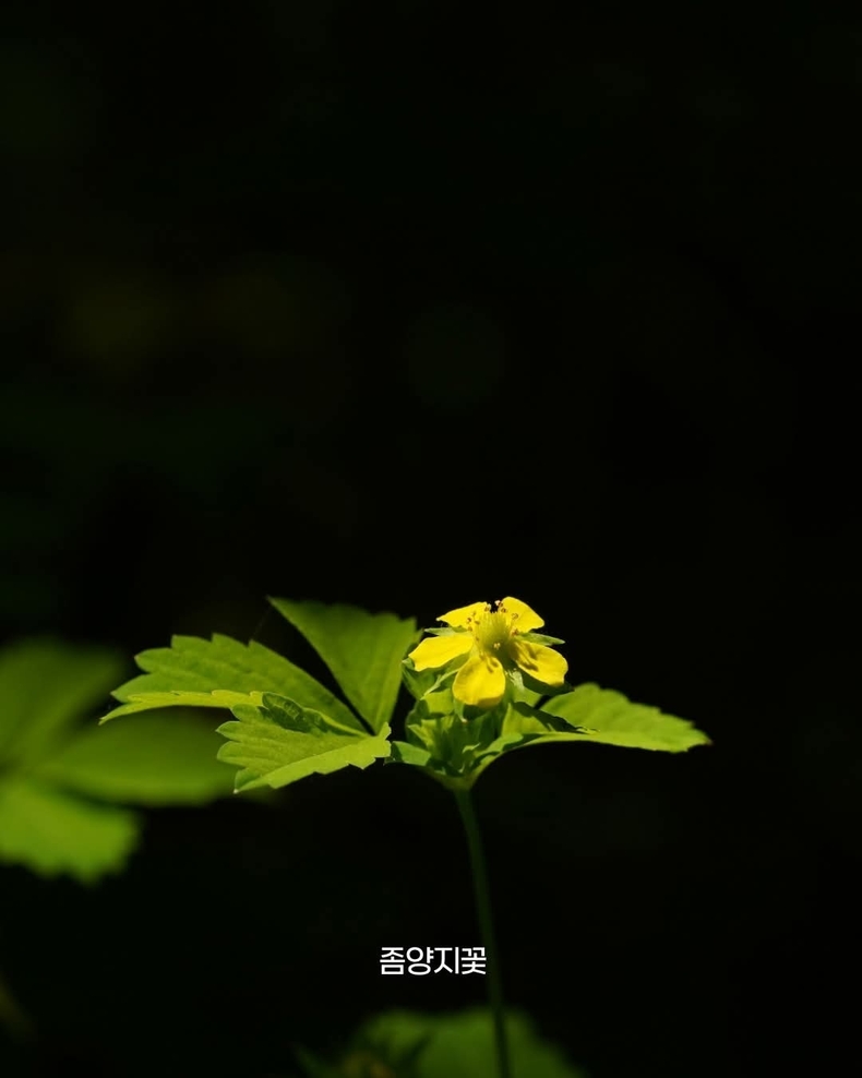 출처=태백산국립공원