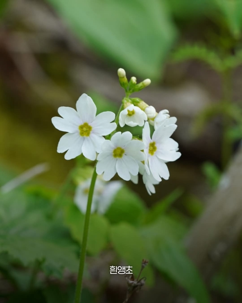출처=태백산국립공원