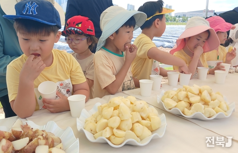 19일 완주군 농촌진흥청 국립식량과학원을 찾은 전주 도담어린이집 어린이들이 하지감자 수확 체험을 하고 있다.(출처=농촌진흥청)