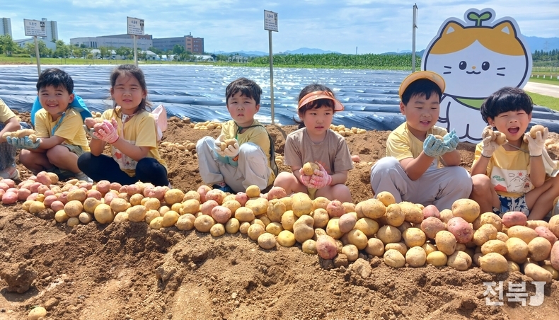 19일 완주군 농촌진흥청 국립식량과학원을 찾은 전주 도담어린이집 어린이들이 하지감자 수확 체험을 하고 있다.(출처=농촌진흥청)