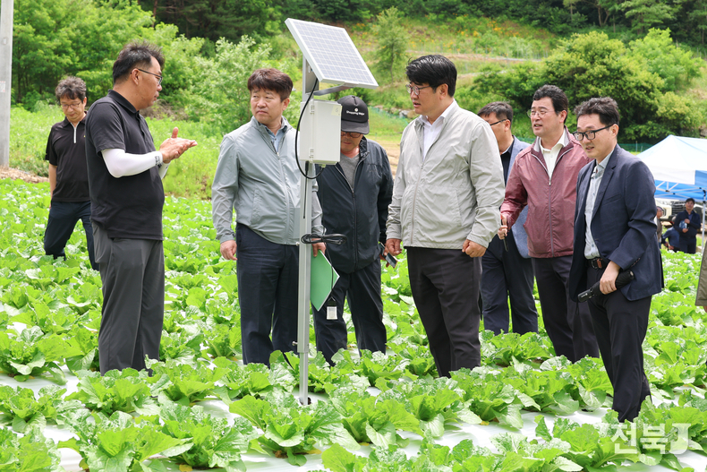 25일 강원도 평창군 여름배추 재배지에서 권재한 농촌진흥청장은 생육상황을 점검하고 있다.(출처=농진청)