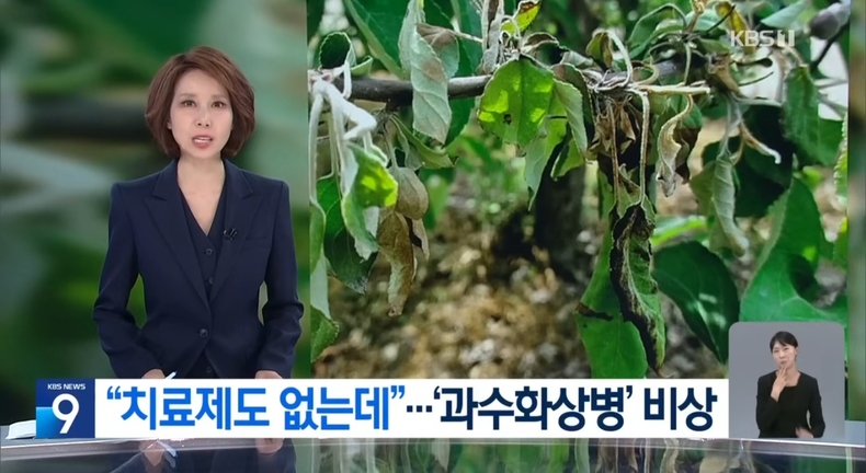 출처=KBS
