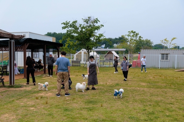  반려인·비반려인 함께 즐기는 '여름밤 익산 피크닉'(출처=익산시)