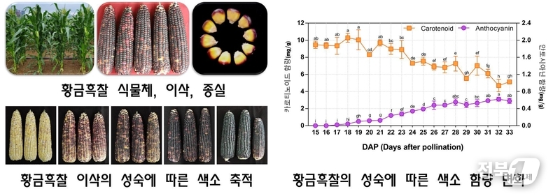 출처=농진청