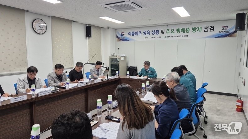 서효원 농진청차장은 최근 강원도 여름배추 재배지를 방문해 생육 상태와 방제 이행 상황을 점검했다.(출처=농진청)