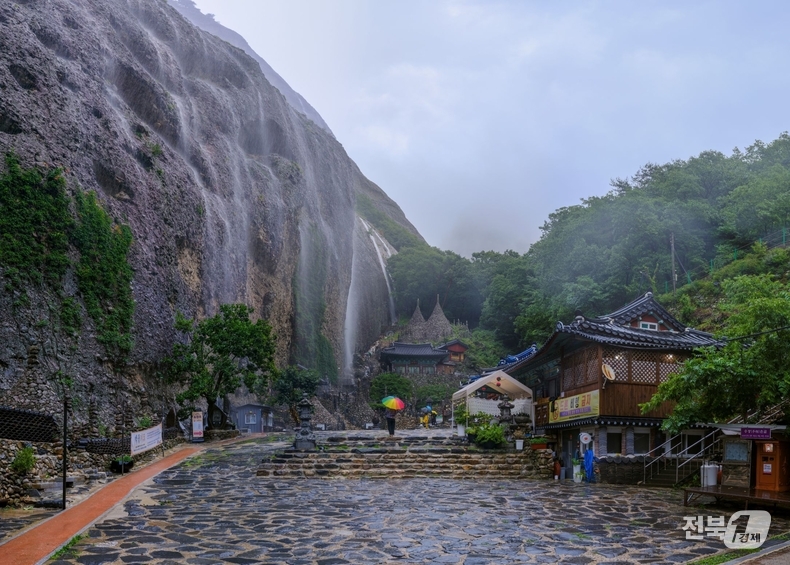 박철의 기자
