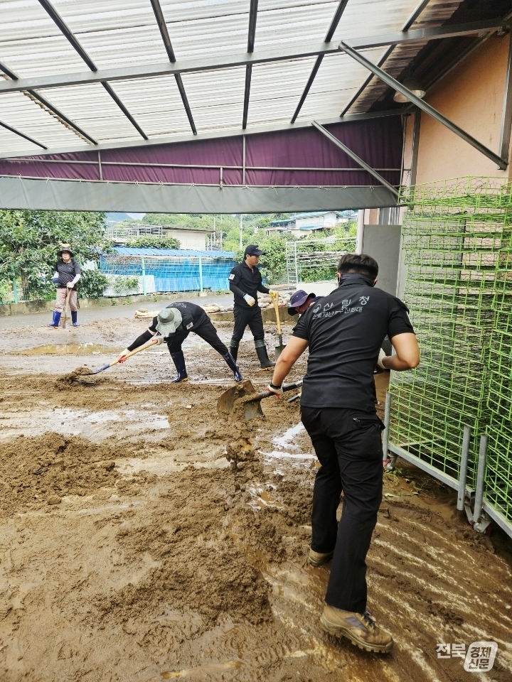 출처=서부지방산림청